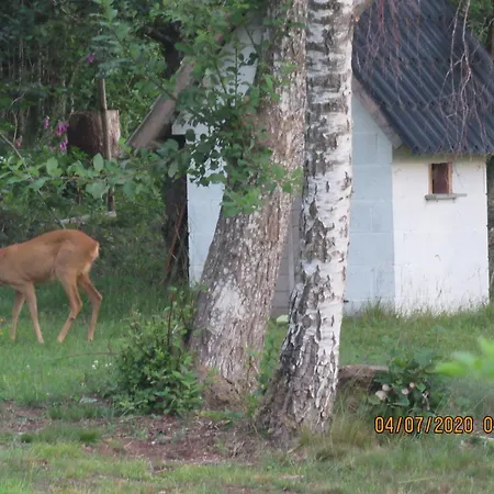 Quiet With Panoramic View And Fenced Garden