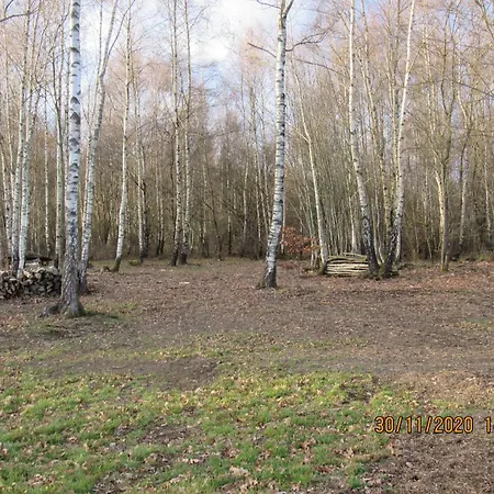 Quiet With Panoramic View And Fenced Garden Chalet Tenneville