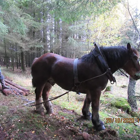 Quiet With Panoramic View And Fenced Garden