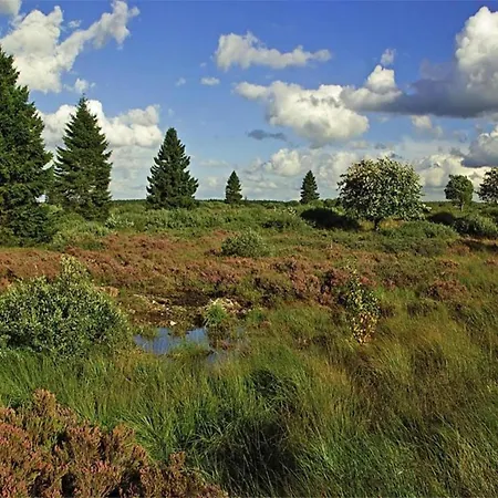 Quiet With Panoramic View And Fenced Garden * Tenneville